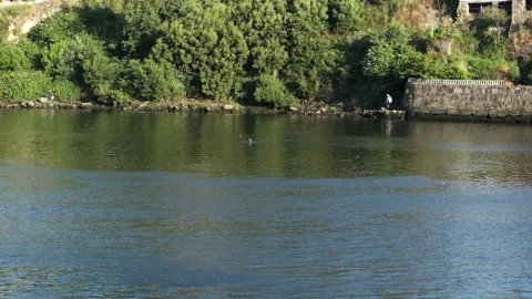 River Ave, Vila do Conde, Portugal with fish jumping from water and men fishing Stock Footage 132228031