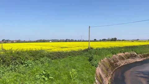 River Avill Flood Relief Channel Dunster Somerset England Stock Footage 239244162