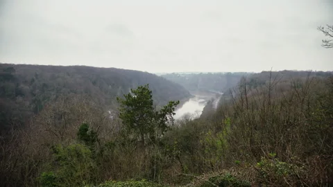 River Avon, Bristol Vidéo 308431384