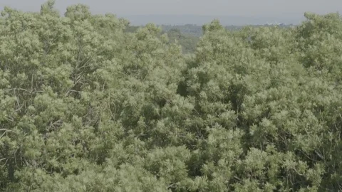 River Avon, Bristol, UK, 2017, Aerial 2 Stock Footage 79772653