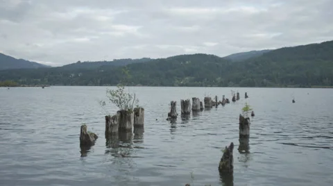 River background 4k Stock Footage 44324920