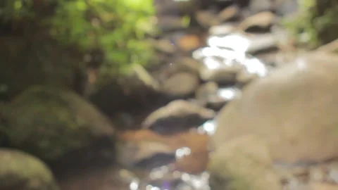 River background with flares Stock Footage 130423491