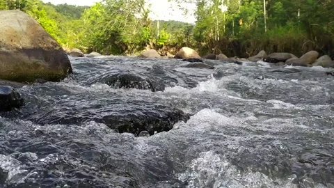 The River Background Stock Footage 233600868