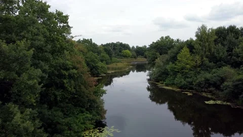 River background. Forest river. Stock Footage 211391531