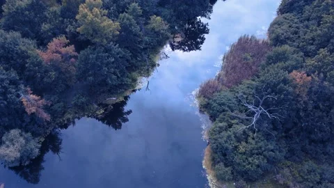 River background. Forest river. Panoramic flying footage. Stock Footage 210811130