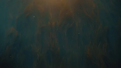 River, background, grass, seaweed Video stock 98153603