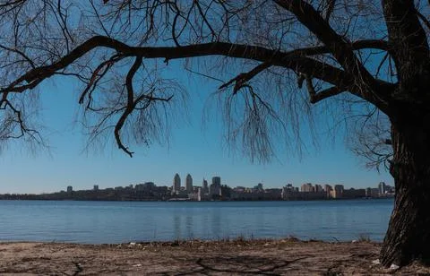 The river on the background of a tree overlooking the right bank of the city. Stock Photos