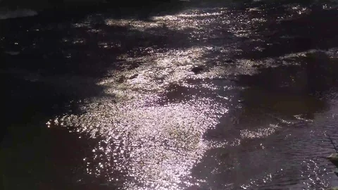 The river in the backlight, sparkling landscape. Video stock 124892550