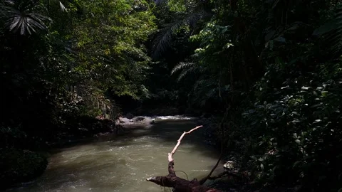 River in Bali Stock Footage 167344427