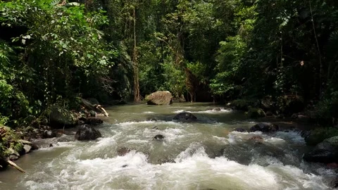 River in Bali Stock Footage 167344443