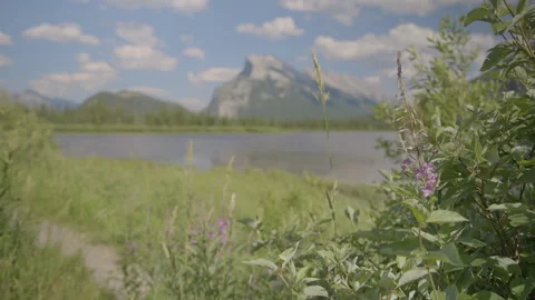 River in Banff with massive mountain in the background Видео 211878855