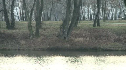 River bank 1 Stock Footage 10684571