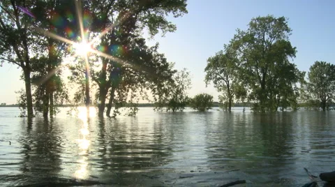 River bank 2 動画素材 4957538