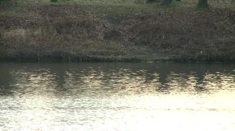 River bank 3 Stock Footage 10684562