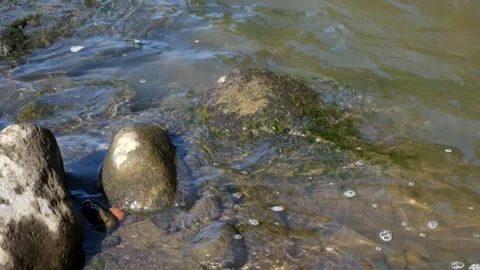 River bank area with stone structures Stock Footage 287288170