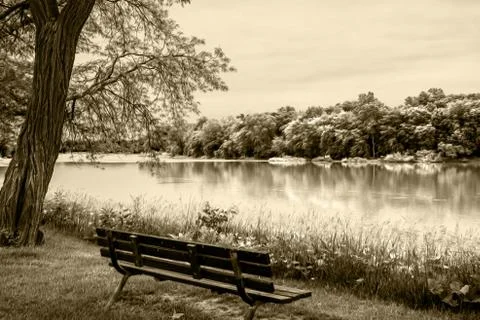 River bank bench Stock Illustration