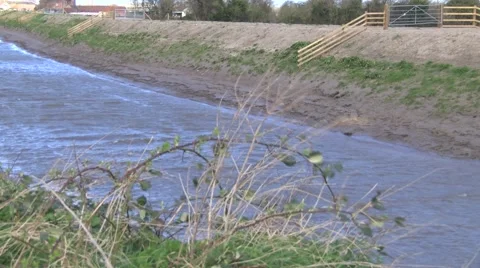 River bank with bracken in foreground Stock Footage 49078705