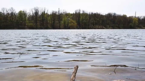 River bank with a branch from a tree Stock Footage 129092537