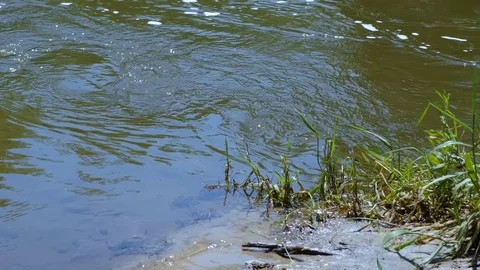 River Bank Closeup - Slow Motion Stock Footage 78076514