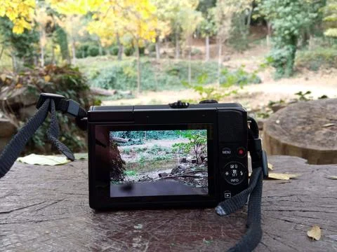 River bank in digital camera Stock Photos