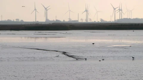 River bank Eider Video stock 61960164