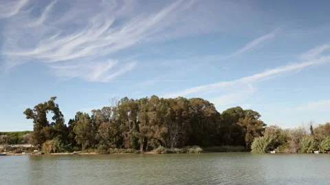 River bank with eucalyptus trees in timelapse Stock Footage 213032558