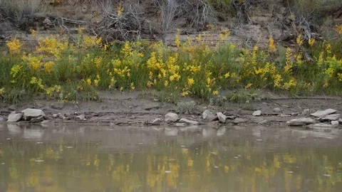 River bank fall Vídeos de archivo 82541870