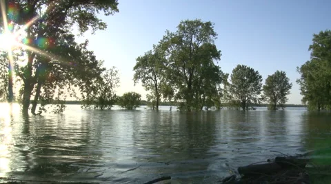 River bank Stock Footage 4958648