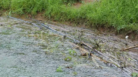 River bank Stock Footage 25605554