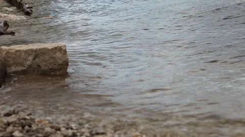 River bank Stock Footage 51567930