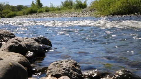 River Bank Stock Footage 95545821