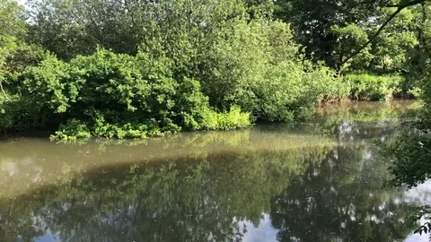 River bank Vídeos de archivo 108750437