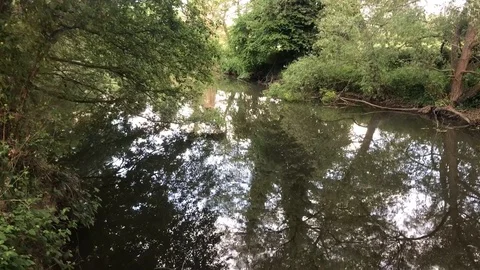 River bank Vídeos de archivo 108750538