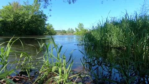 On the river bank. Stock Footage 141134516