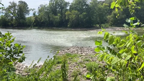 River Bank Stock Footage 208136974