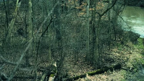 River to bank 스톡 동영상 261111530