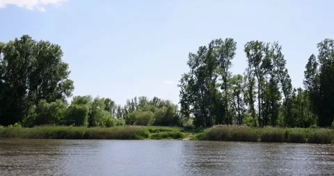 River bank Stock Footage 276699353