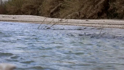 On the river bank Stock Footage 304288271