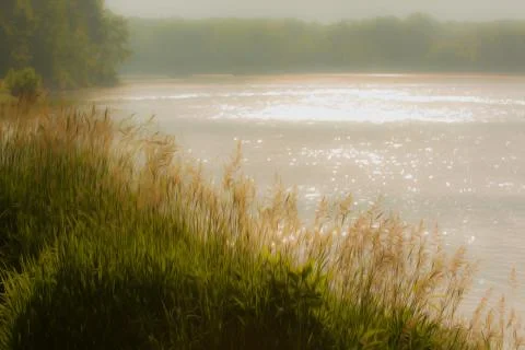 River bank Stock Illustration