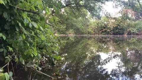 River bank in late spring Vídeos de archivo 108751144