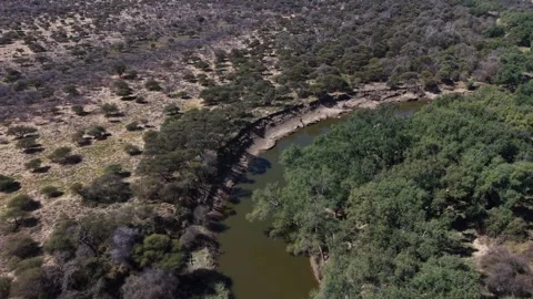 River bank of Limpopo river Video stock 342124526