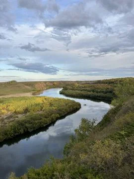 River bank lined with trees under a cloudy sky in a natural landscape Stock Photos