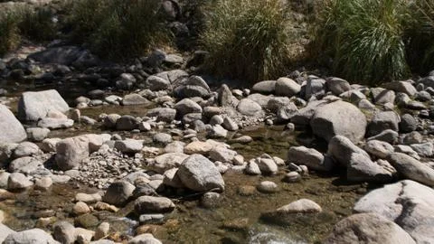 River bank Stock Photos