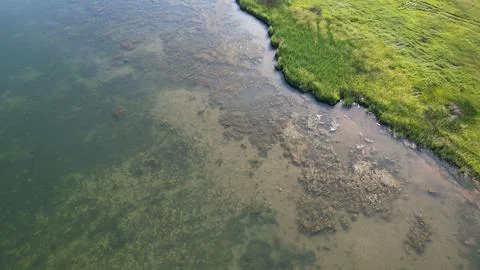 River Bank Foto stock