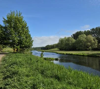 River bank. Stock Photos