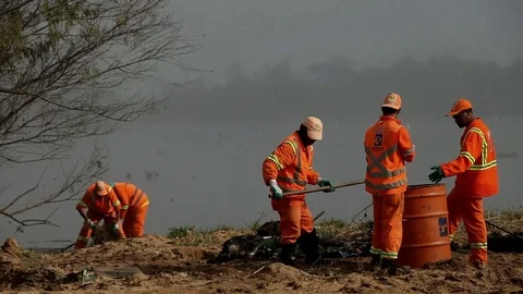 River Bank Pollution Cleaning: workers with hoes and pans put dirt on trash can. Stock Footage 78937401