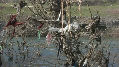 River bank pollution 動画素材 236800928