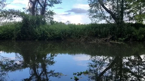 River bank reflections Stock Footage 108750762
