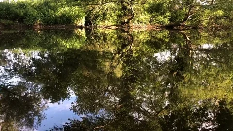 River bank reflections Vídeos de archivo 108751105