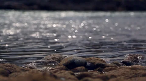 River bank rocks and moss Stock Footage 33751749